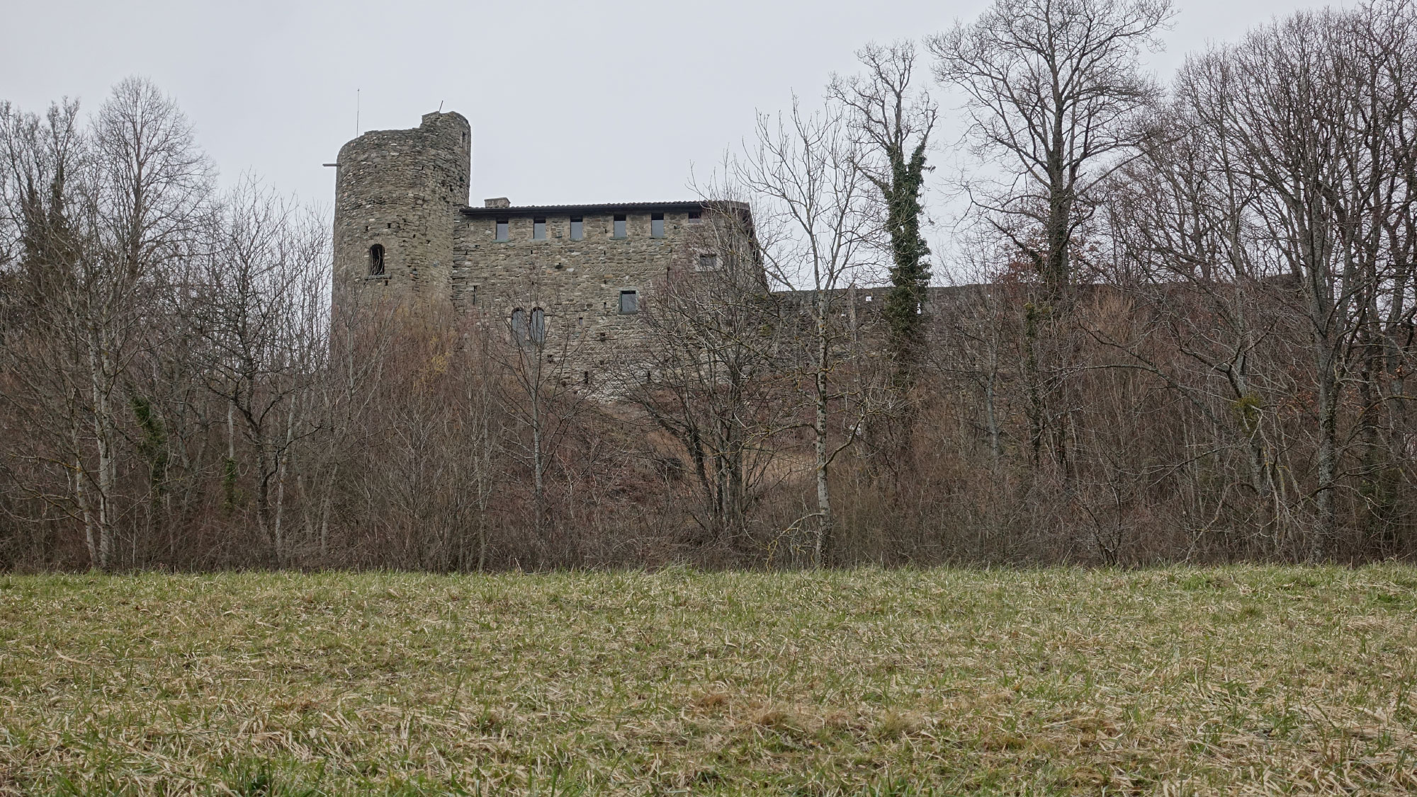 Chateau de Langin